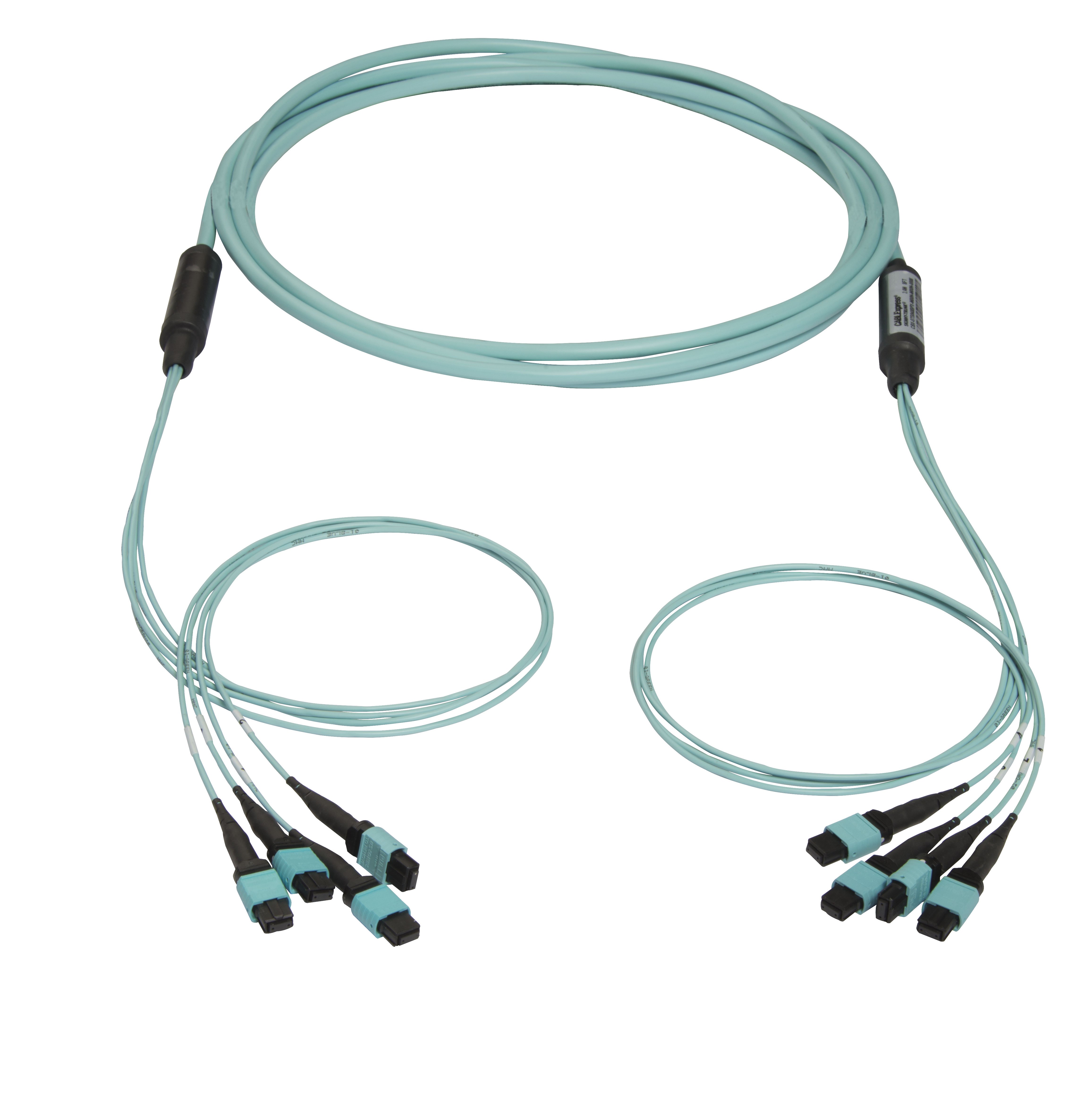 48-Fiber-MTP-Trunk-1190