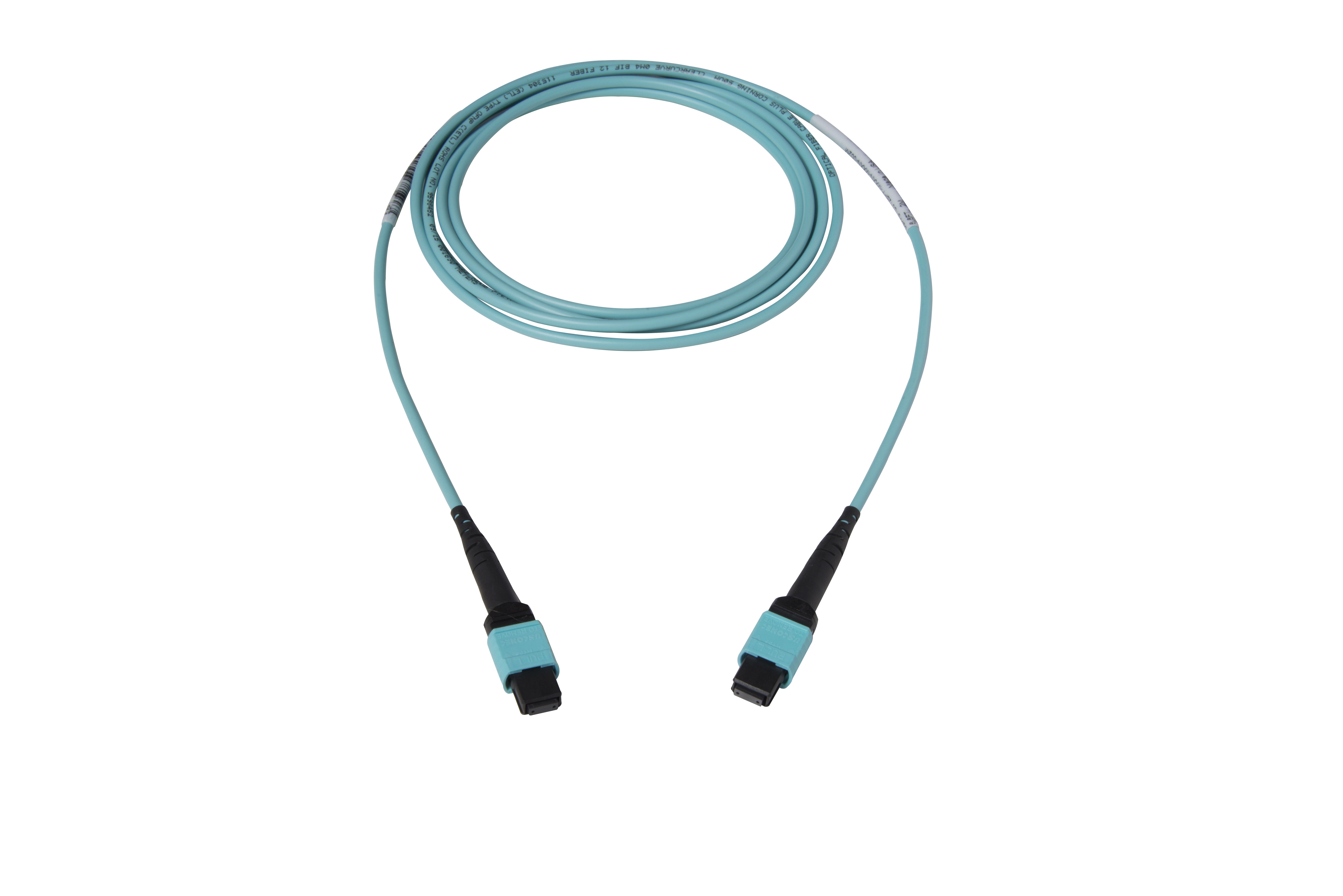 Carousel 12-Fiber-MTP-MTP2-1124